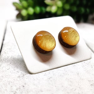 May include: A pair of round, gold and brown resin stud earrings. The earrings have a shiny, metallic finish.