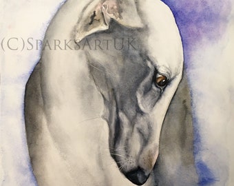 Greyhound - fine art print of original watercolour painting