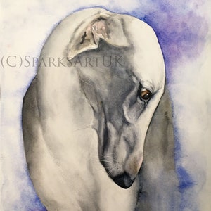 Greyhound - impressão de belas artes de pintura em aquarela original