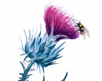 Large thistle and bee - giclee print of original watercolour painting