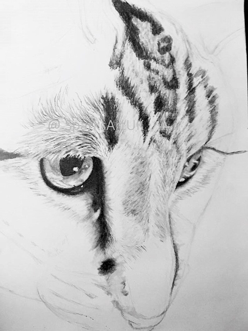 Icône De Silhouette De Découpe De Visage De Tête De Chat