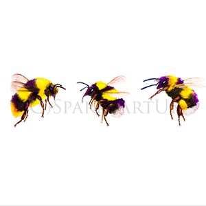 Buzz, buzz, buzz! - Giclee print of original watercolour painting