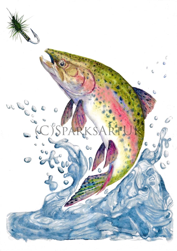 Rainbow Trout Fishing - beautiful fine art giclee print of original  watercolour painting