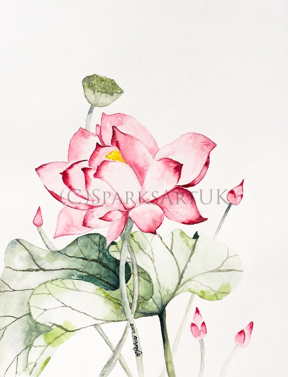 Fleur De Lotus Chinois Et Feuille Impression De Peinture à Laquarelle Originale