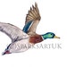 see more listings in the Birds and bees section