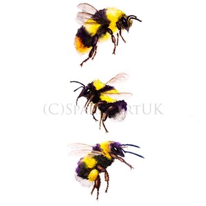 Bees, bees, bees! - Giclee print of original watercolour painting