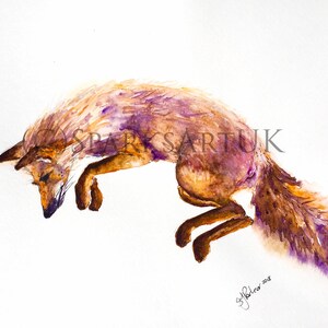 Jumping Fox hunting -Giclee  print of original watercolour painting