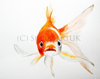 MNO Goldfish - Giclee print of original watercolour painting