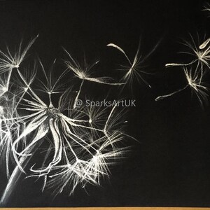 May include: A white dandelion with seeds blowing in the wind, drawn in white chalk on a black background. The artist's Instagram handle, @SparksArtUK, is written in the lower right corner.