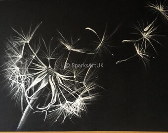 Dandelion wish - Giclee print of original chalk drawing