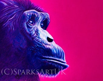Chimpanzee - Giclee print of original colour pencil drawing
