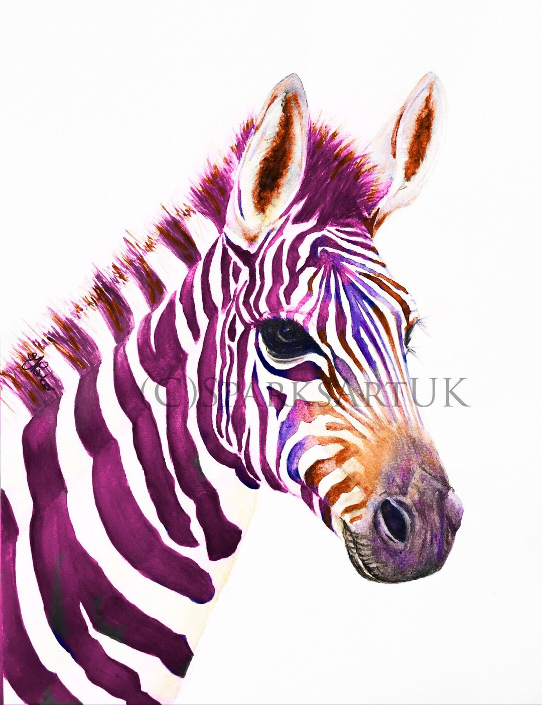 絵画 Zebrappy il_1080xN.1519320306_bgpv.jpg