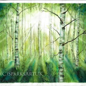 Silver birch woods - stunning fine art giclee print of original watercolour painting