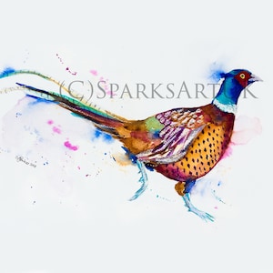 Strutting Pheasant - print of original watercolour painting