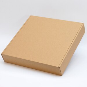 May include: A plain brown cardboard box with a slightly angled top.