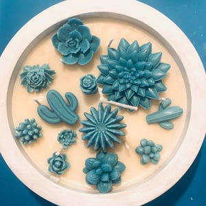 May include: A white circular tray with a variety of teal blue succulent and cactus shaped candles. The candles are arranged in a circular pattern on the tray.