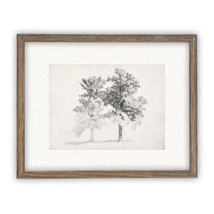 Vintage Framed Canvas Art // Framed Vintage Print // Vintage Painting // Black White Trees Sketch // Farmhouse print //BOT-123 Bild 5