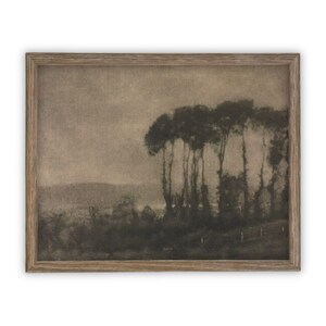 Vintage Framed Canvas Art  // Framed Vintage Print // Vintage Painting // Black White Tree Sketch // Moody Art print //#LAN-206
