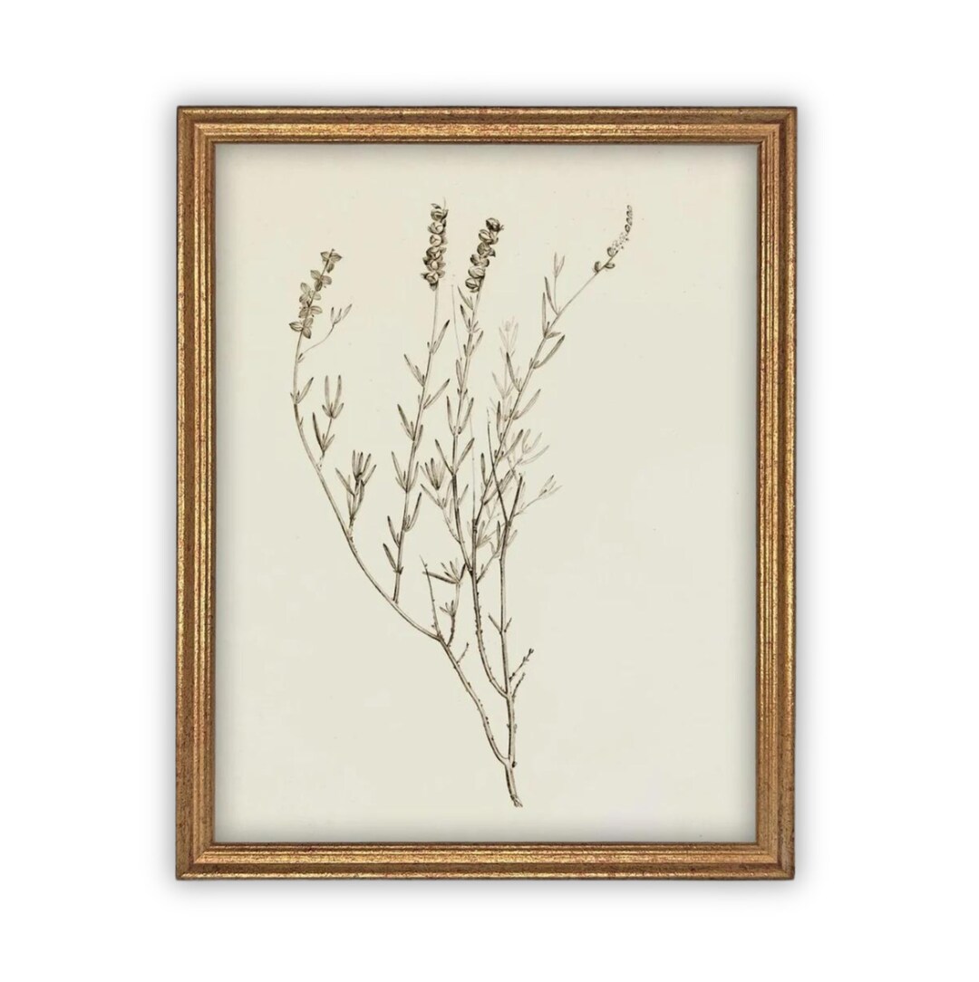 Vintage Framed Botanical Canvas Print: Farmhouse Art - Etsy