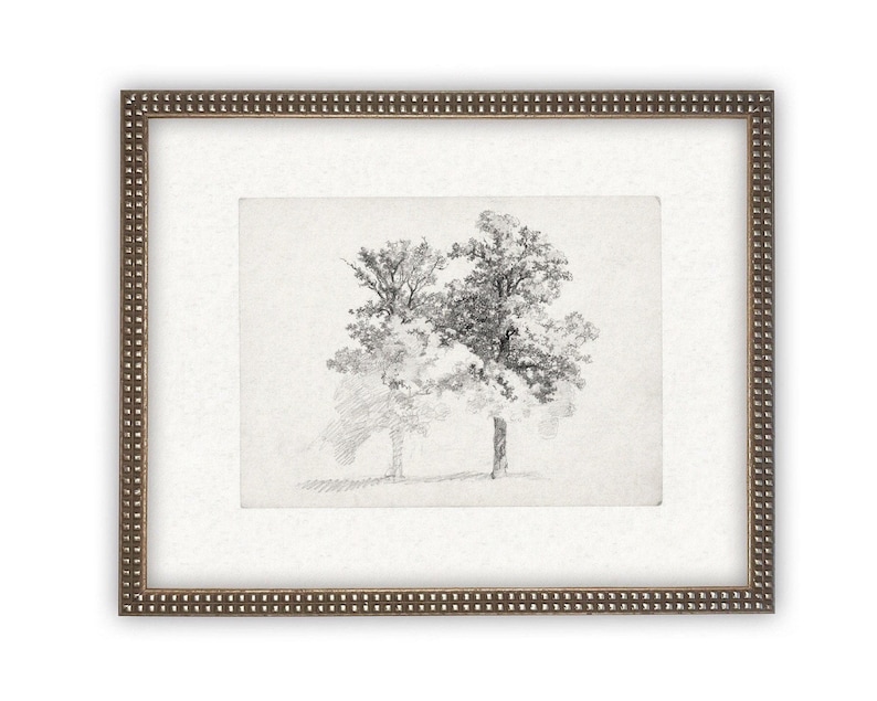 Vintage Framed Canvas Art // Framed Vintage Print // Vintage Painting // Black White Trees Sketch // Farmhouse print //BOT-123 Bild 6