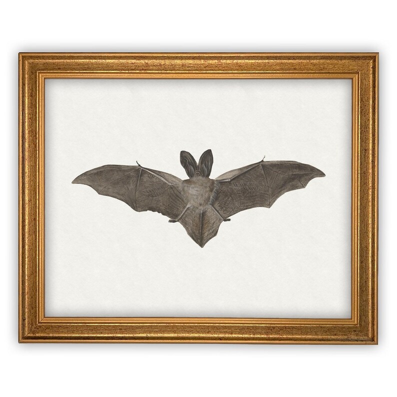 Vintage Framed Canvas Art // Framed Vintage Print // Vintage Halloween Painting // Spooky Bat Wall Art // Halloween print //#H-101 image 6