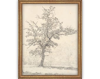 May include: A framed wall art piece featuring a detailed charcoal or pencil sketch of a single deciduous tree with spreading branches and textured bark, set against a light cream background within a metallic gold-toned rectangular frame.