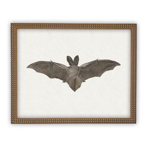 Vintage Framed Canvas Art // Framed Vintage Print // Vintage Halloween Painting // Spooky Bat Wall Art // Halloween print //#H-101 image 5