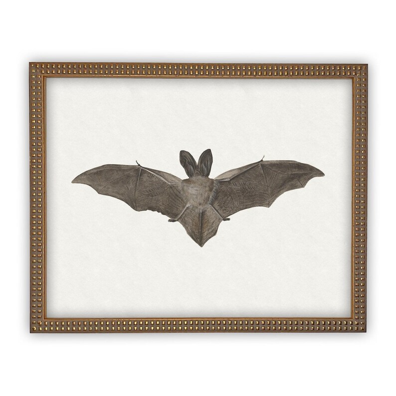 Vintage Framed Canvas Art // Framed Vintage Print // Vintage Halloween Painting // Spooky Bat Wall Art // Halloween print //#H-101 image 5