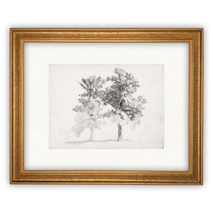 Vintage Framed Canvas Art // Framed Vintage Print // Vintage Painting // Black White Trees Sketch // Farmhouse print //BOT-123 Bild 3