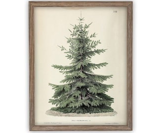 Vintage Framed Canvas Art  // Framed Vintage Christmas Print // Vintage Painting // Christmas Tree // Farmhouse print //#CH-320