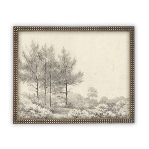 READY to SHIP 11X14 Vintage Framed Canvas Art  // Framed Vintage Print  // Black White Tree Sketch // Minimalist Art //#LAN-228