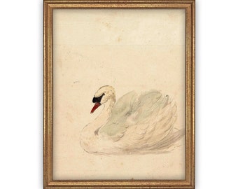 Vintage Framed Canvas Art  // Framed Vintage Print // Vintage Painting // White Swan Art // Girls Room or Nursery print //#A-101