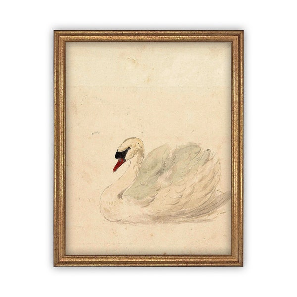 Vintage Swan Canvas Art: Framed Nursery Print