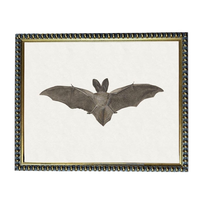 a bat with its wings spread wide, depicted in a framed artwork.
