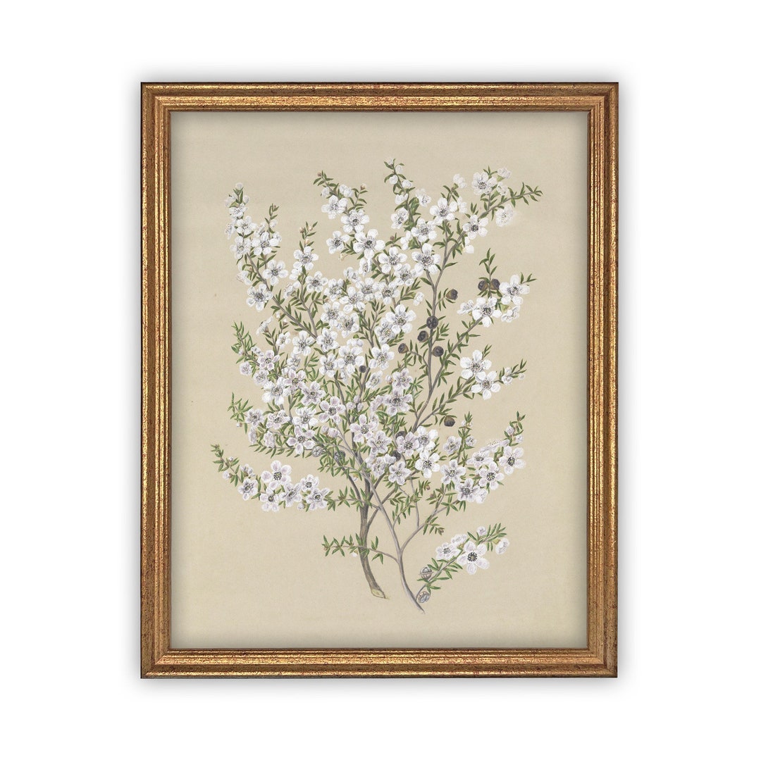 Vintage Framed Canvas Art // Framed Vintage Print // Vintage Painting