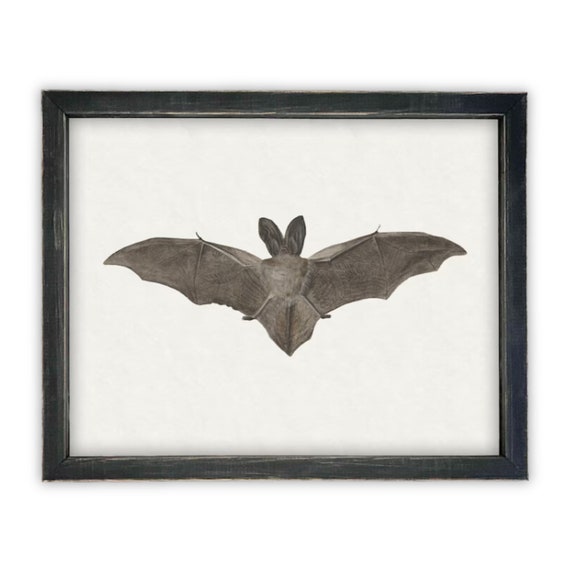 Vintage Framed Canvas Art  // Framed Vintage Print // Vintage Halloween Painting // Spooky Bat Wall Art // Halloween print //#H-101
