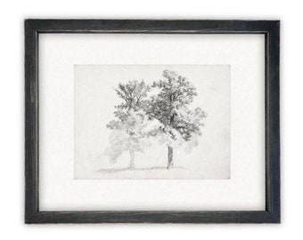 READY TO SHIP 16x20 Framed Canvas Print: Black and White Tree Sketch