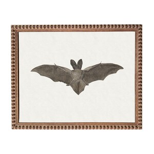 a bat with its wings spread wide, captured in a framed artwork.