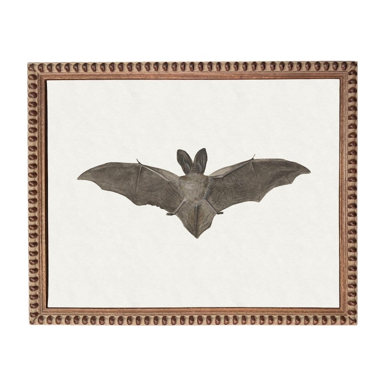 a bat with its wings spread wide, captured in a framed artwork.