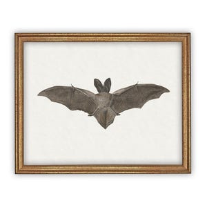 Vintage Framed Canvas Art // Framed Vintage Print // Vintage Halloween Painting // Spooky Bat Wall Art // Halloween print //#H-101 image 2