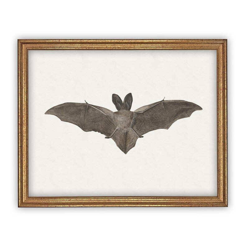 Vintage Framed Canvas Art // Framed Vintage Print // Vintage Halloween Painting // Spooky Bat Wall Art // Halloween print //#H-101 image 2