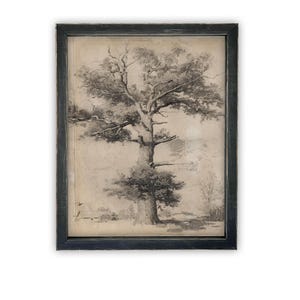 Framed Vintage Botanical Canvas Print: Farmhouse Style, Ready to Hang