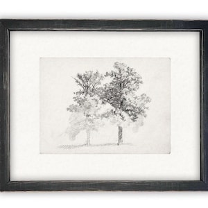 Vintage Framed Canvas Art  // Framed Vintage Print // Vintage Painting // Black White Trees Sketch // Farmhouse print //#BOT-123