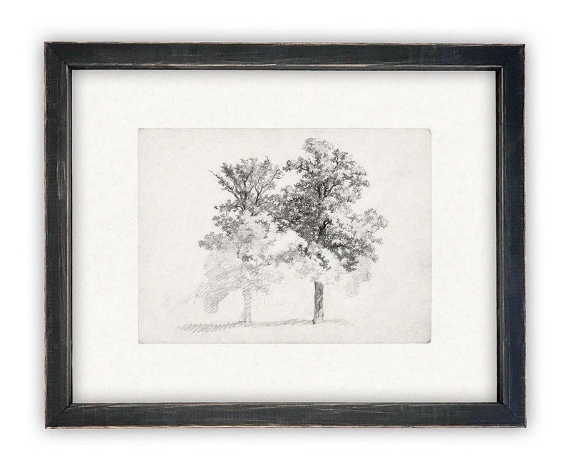 Vintage Framed Canvas Art // Framed Vintage Print // Vintage Painting // Black White Trees Sketch // Farmhouse print //BOT-123 Bild 1