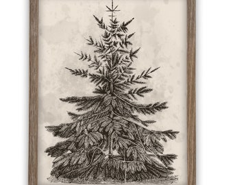 Framed Vintage Christmas Tree Sketch Print: Farmhouse Canvas Art