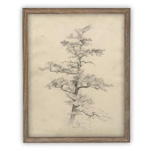 Vintage Framed Canvas Art  // Framed Vintage Print // Vintage Painting // Botanical Tree Sketch // Neutral Minimalist  print  //#BOT-166