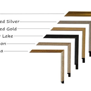 Puede incluir: Seis estilos de marcos de fotos diferentes, de izquierda a derecha: Minna, Stinson, Stow Lake, Beaded Gold, Beaded Silver y Casa.