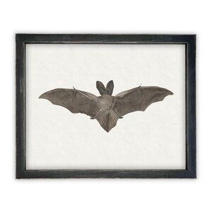 Vintage Framed Canvas Art // Framed Vintage Print // Vintage Halloween Painting // Spooky Bat Wall Art // Halloween print //#H-101 image 1