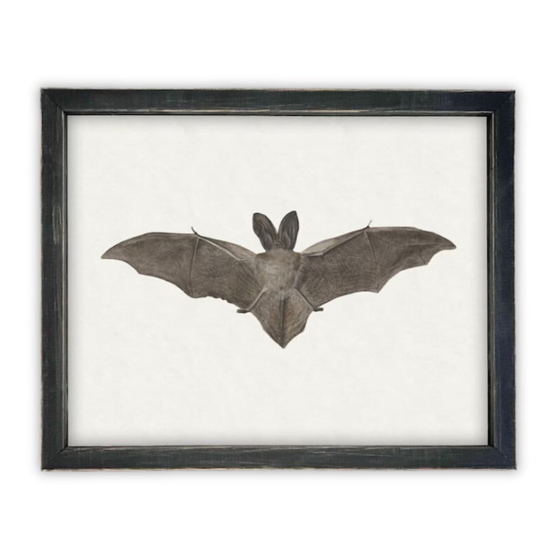 Vintage Framed Canvas Art // Framed Vintage Print // Vintage Halloween Painting // Spooky Bat Wall Art // Halloween print //#H-101 image 1