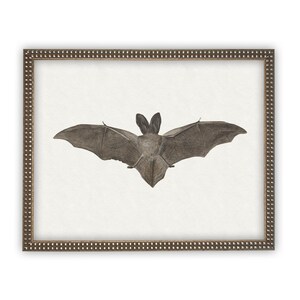 Vintage Framed Canvas Art // Framed Vintage Print // Vintage Halloween Painting // Spooky Bat Wall Art // Halloween print //#H-101 image 4